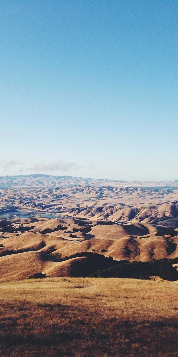 Rhomb Community trip photo from Instagram